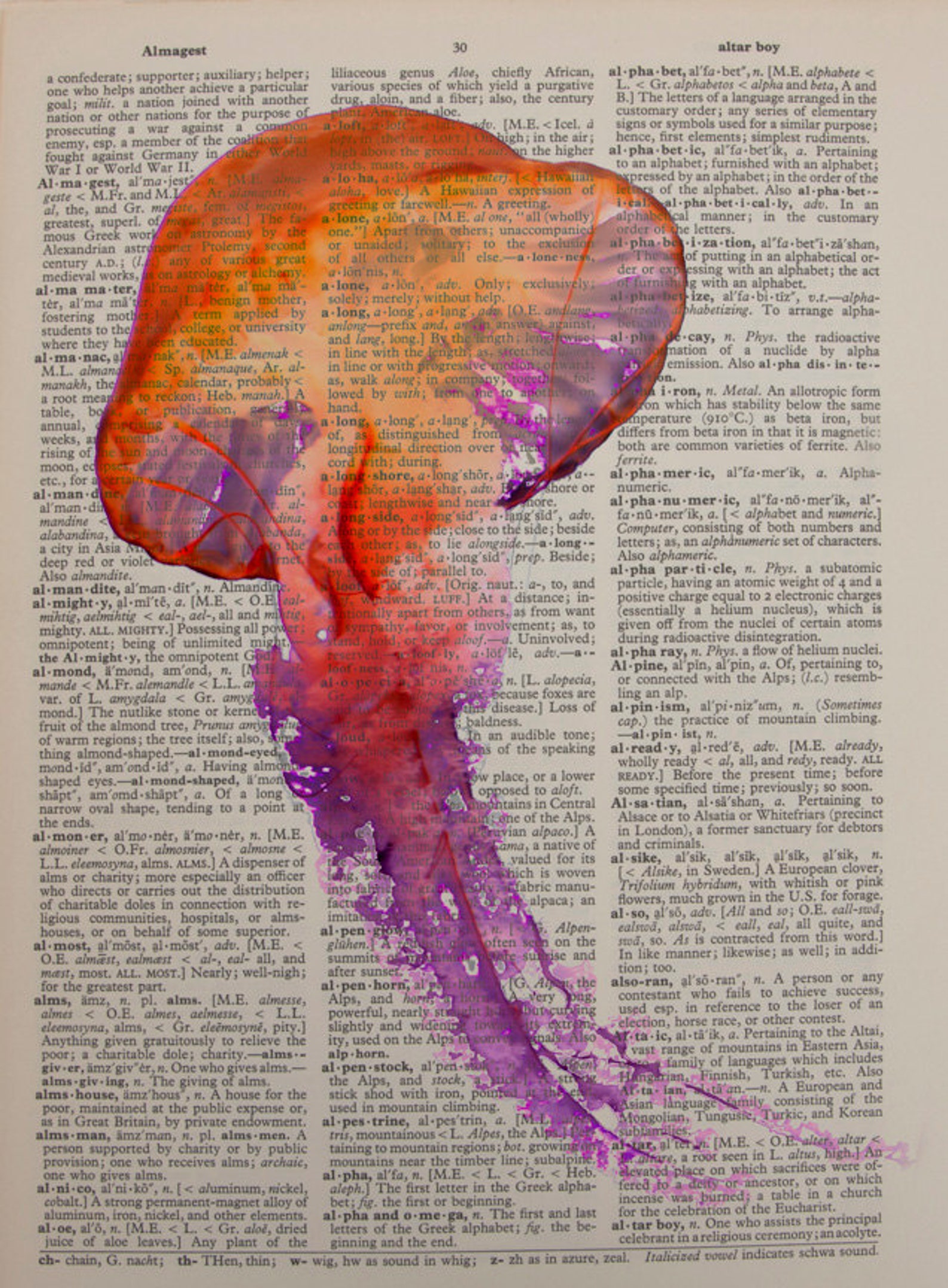 Red Jellyfish Dictionary Art Print Purple Marine Life Wall Art Etsy
