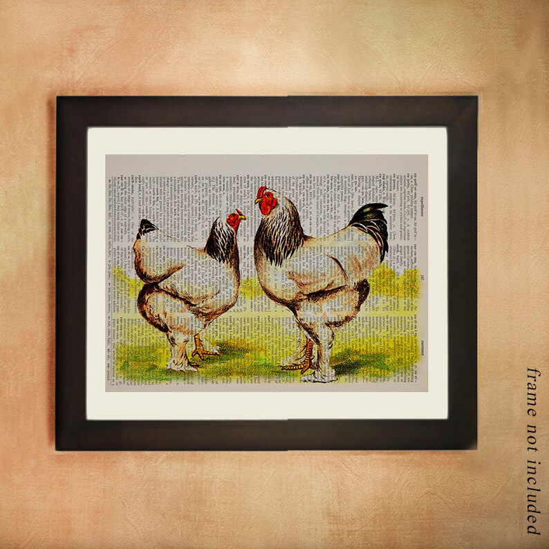 Chicken Dictionary Art Print Rooster Poultry Farm Bird Animal Etsy