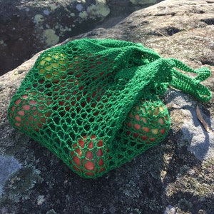 以下が含まれることがあります： 赤いリンゴと黄色のリンゴが入った緑色のメッシュ製の果物袋。袋は岩の表面の上に置かれています。