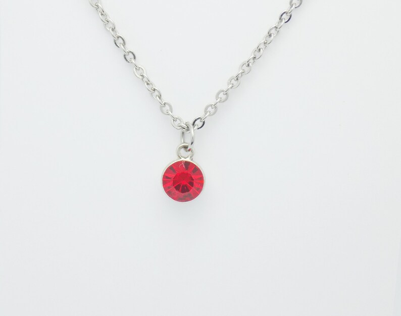 birthstone jewelry Birthstone necklace garnet birthstone July jewelry Stainless steel necklace necklace gift for her