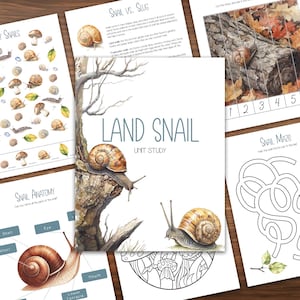 LAND SNAIL Unit Study, Mollusk, Snails & Slugs, Nature, Printable, Montessori Charlotte Mason Style, Nature Study, Homeschooling