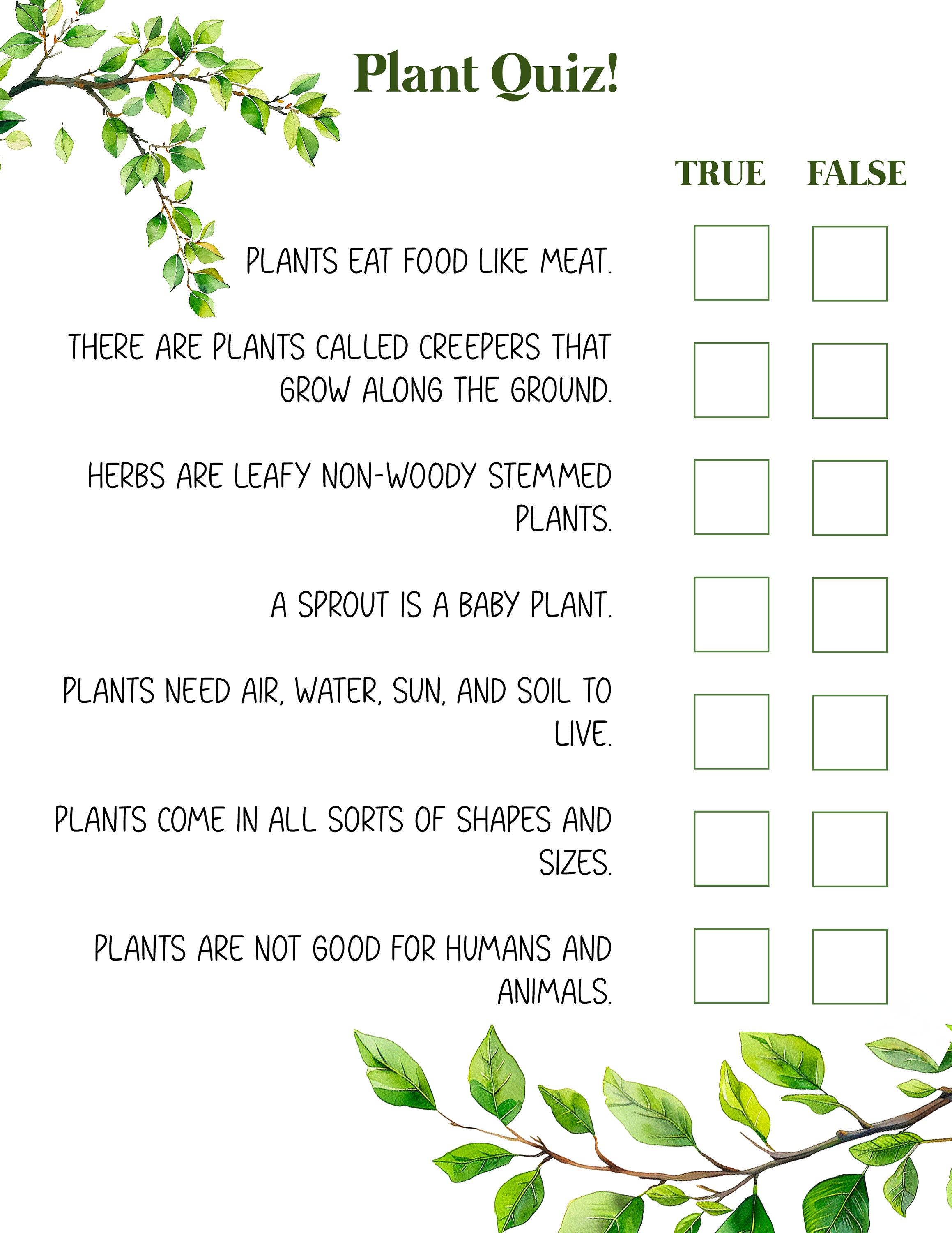 PLANT Unit Study, Life Cycle of a Plant, Plant Anatomy, Printable ...
