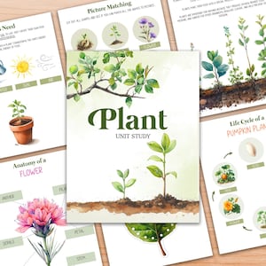 Op de afbeelding: Een kleurrijke educatieve poster over planten met de titel "Plant Unit Study". De poster bevat illustraties van een bloem, een zaadje, een vrucht en een plant die uit een zaadje groeit. De poster bevat ook een diagram van de anatomie van een bloem.