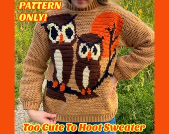 CROCHET PATTERN: Too Cute To Hoot Sweater, PDF download, owl sweater