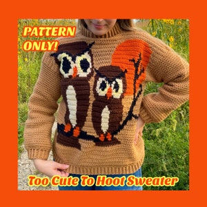 CROCHET PATTERN: Too Cute To Hoot Sweater, PDF download, owl sweater