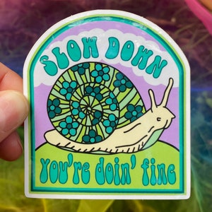Snail Sticker, Snail, Laptop Stickers, Water Bottle, Snail Gift, Slow Down You’re Doin Fine, Grateful Dead 60s 70s