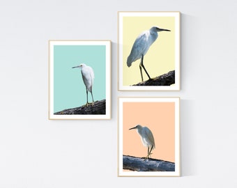 Beach Wall Art Coastal Wall Art Set Bird Prints Wall Art Minimalist Set of 3 Living Room Wall Art Bird Wall Decor Printable Wall Art