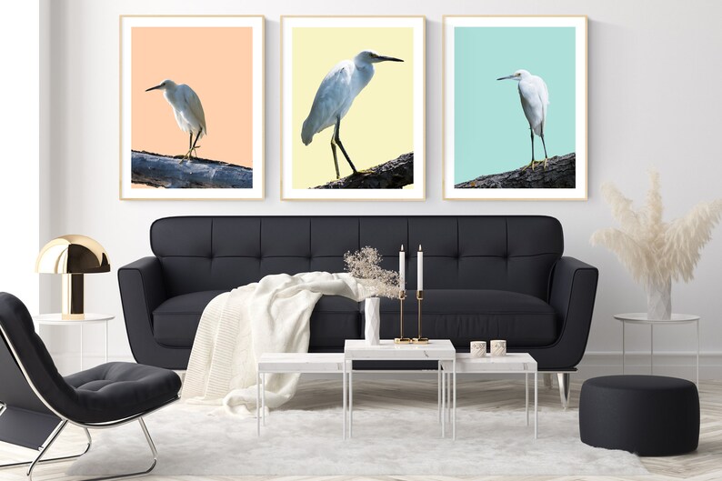 Coastal Wall Art Set Framed Wall Art Set Bird Prints Wall Art Set of 3