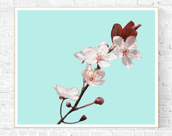 Cherry Blossom Print Flower Wall Decor White Flower on Teal Photography Minimalist Poster Botanical Wall Art Print Living Room Wall Art