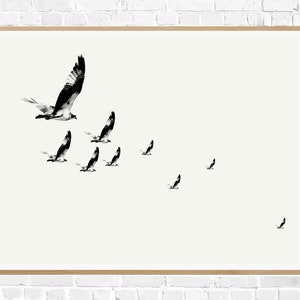 Flock of Birds Flying Birds Print Bird Artwork Bird Photography Birds Wall Decor Bird Printable Bird Prints Black and White Above Bed Decor