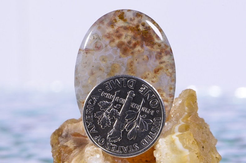 Ocean Jasper 30x22x4.9mm Cabochon Ocean Jasper Cabs Jasper Cabochons Ocean Jasper Rough