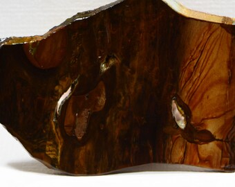 Biggs Jasper 160x100x5.6mm Lapidary Gemstone Slabs Biggs Jasper Slabs Lapidary Slabs
