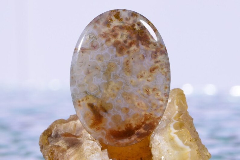 Ocean Jasper 30x22x4.9mm Cabochon Ocean Jasper Cabs Jasper Cabochons Ocean Jasper Rough