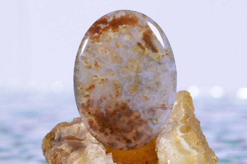 Ocean Jasper 30x22x4.9mm Cabochon Ocean Jasper Cabs Jasper Cabochons Ocean Jasper Rough