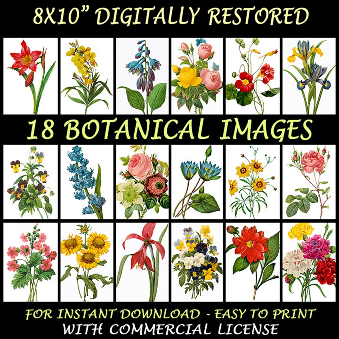 Large Botanical Prints, Printable Antique Floral Wall Art Vintage ...
