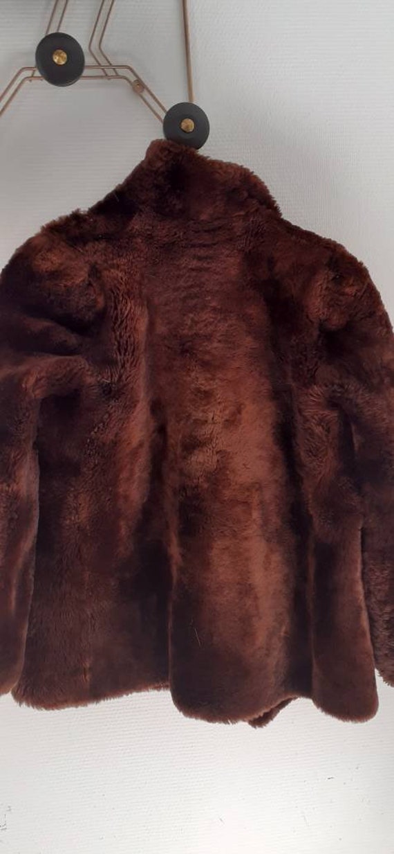 Jacket 40's golden sheep