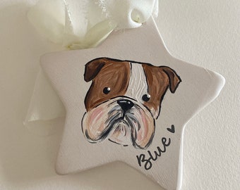 Personalised Hand-Painted Pet Portrait Star Decoration