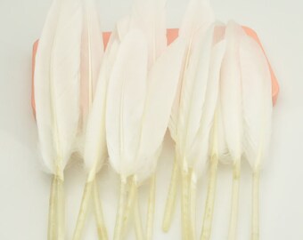 large white feathers wholesale