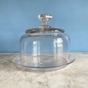 A vintage French glass plate and cloche, cheese cloche, cake cloche, cabinet of curiosities