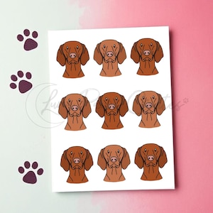Carte de voeux hongroise Vizsla, carte pour amoureux de Vizsla, carte de voeux impression chien, carte d'anniversaire Vizsla, carte chien vierge, carte pour amoureux des chiens