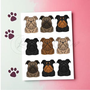 Carte de voeux Brussels Griffon, carte de voeux impression chien, carte d'anniversaire Brussels Griffon, carte chien vierge, carte pour les amoureux des chiens Bruxelles
