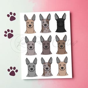 Carte de voeux Xoloitzcuintli, carte pour amoureux Xoloitzcuintli Carte de voeux impression chien Carte d'anniversaire Xoloitzcuintli Carte chien vierge Xoloitzcuintli