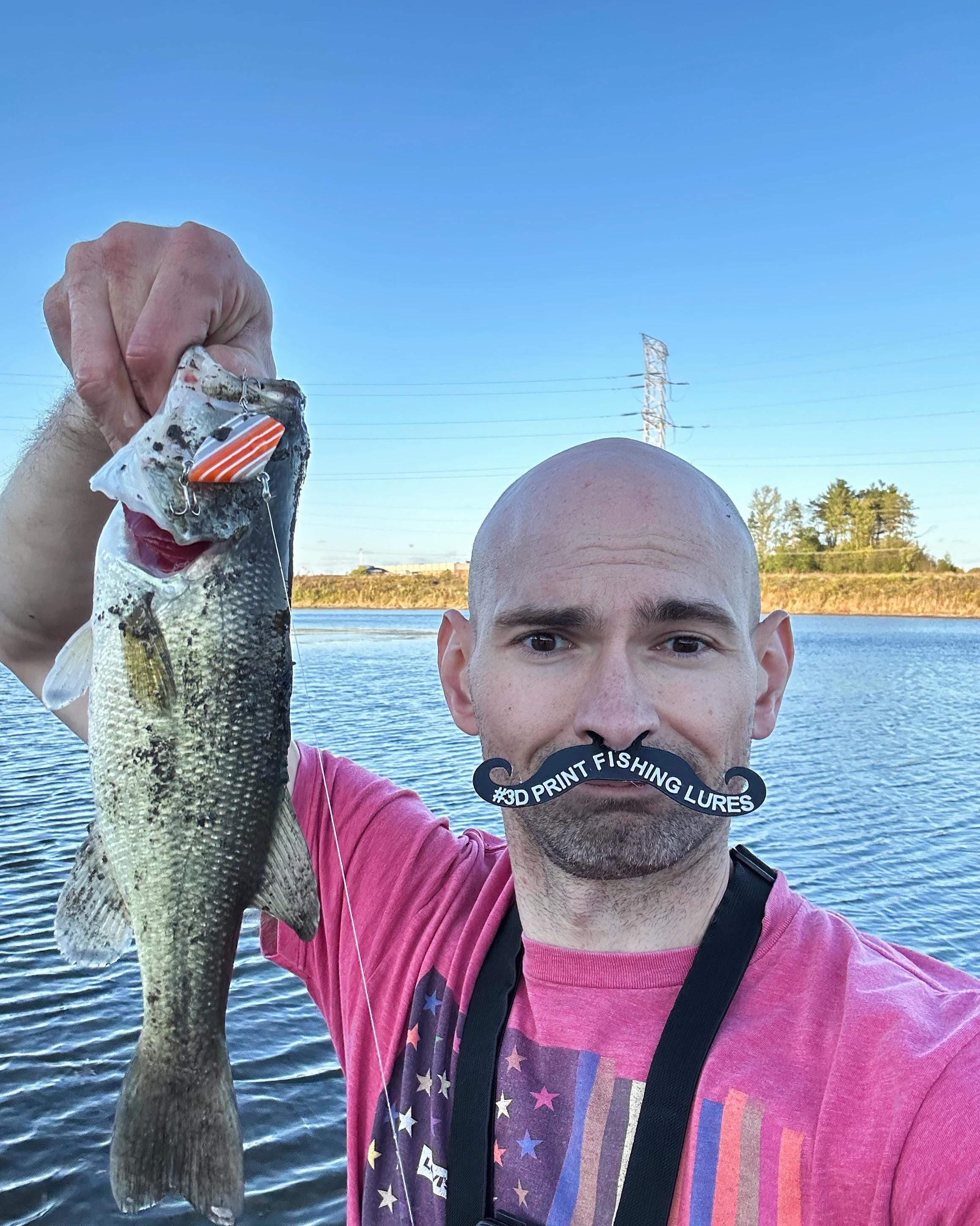 CRANKBAIT MIRROLURE pêche leurre CRANKBAIT MIRROLURE pêche leurre