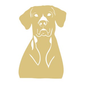 May include: A golden-yellow illustration of a dog's head and upper body, facing forward. The dog has floppy ears, a white patch on its nose, and a detailed depiction of its facial features. The image is set against a clean white background.