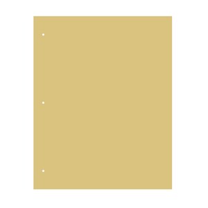 May include: A plain, light brown paper sheet with three holes punched along the left edge.