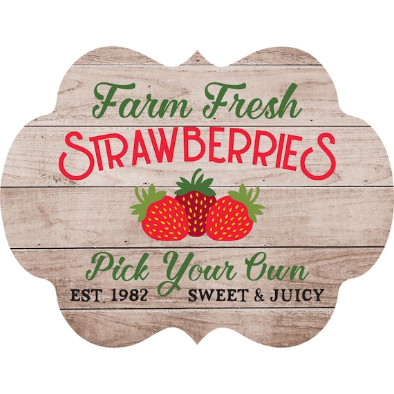 Why You Should Buy Farm Fresh Strawberries