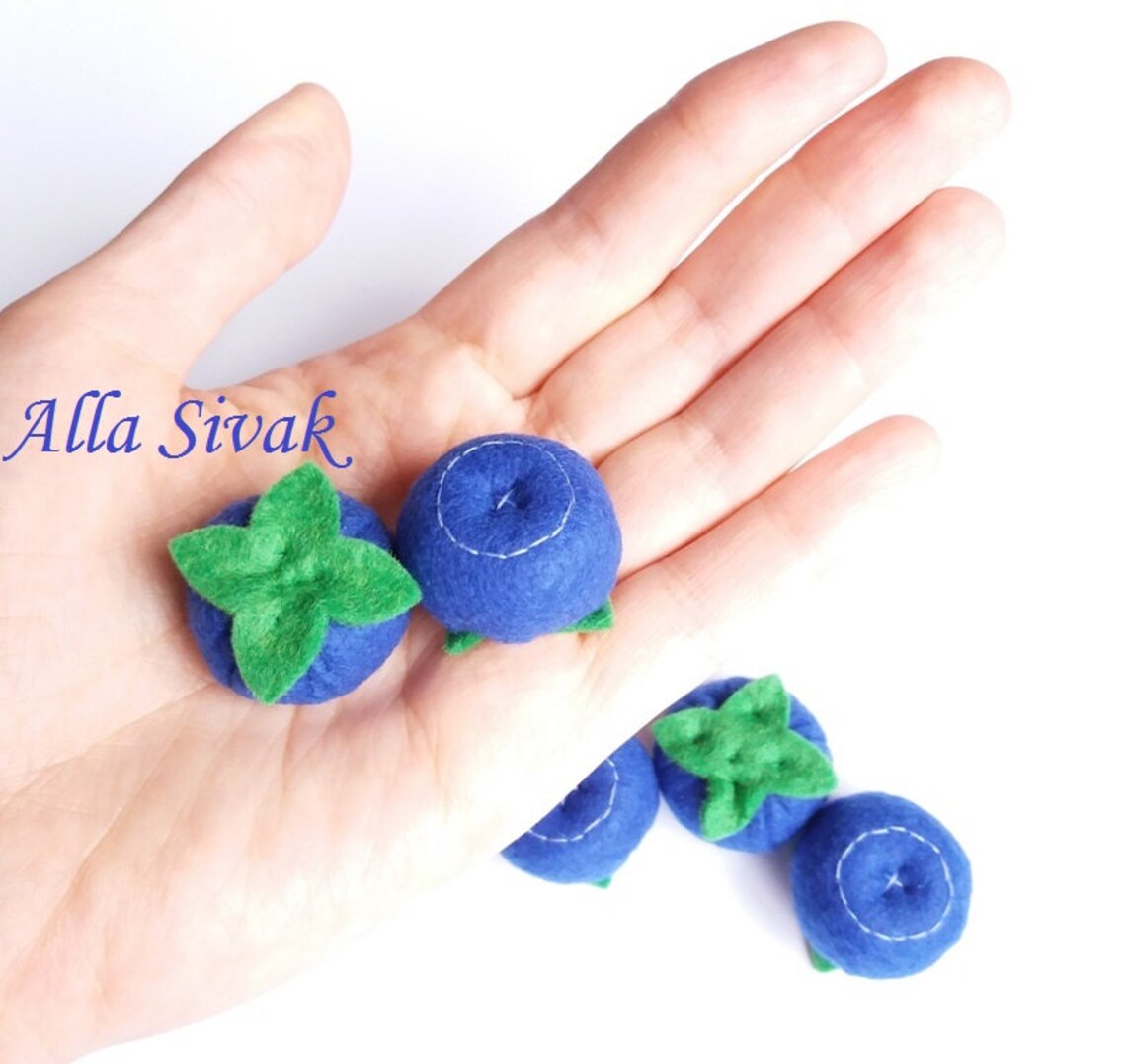 montessori food toys