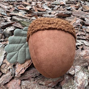 May include: A plush acorn toy with a brown felt body and a brown fuzzy top. The acorn has a green felt leaf attached to the side.