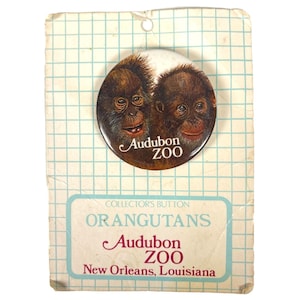 Peut inclure: Un bouton rond avec une image rapprochée de deux orangs-outans avec le texte "Audubon Zoo" imprimé en dessous. Le bouton est fixé à une carte blanche avec un motif quadrillé et le texte "Collector's Button ORANGUTANS Audubon Zoo New Orleans, Louisiana".
