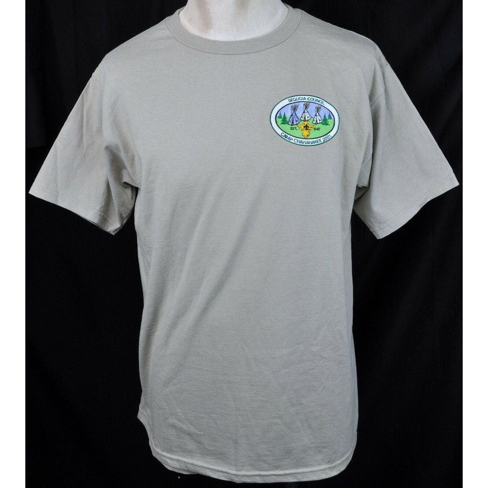 Vintage Boy Scouts Camp Chawanakee L Sewn Vintage Tshirt Large Mens