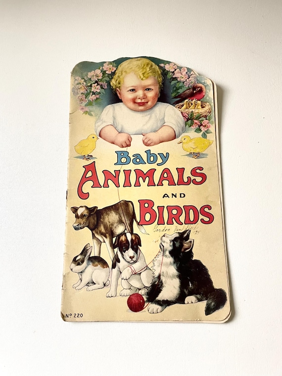 Vintage 1927 Baby Animals and Birds Book
