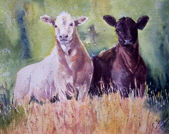Original Watercolour &#39;Curiosity&#39;