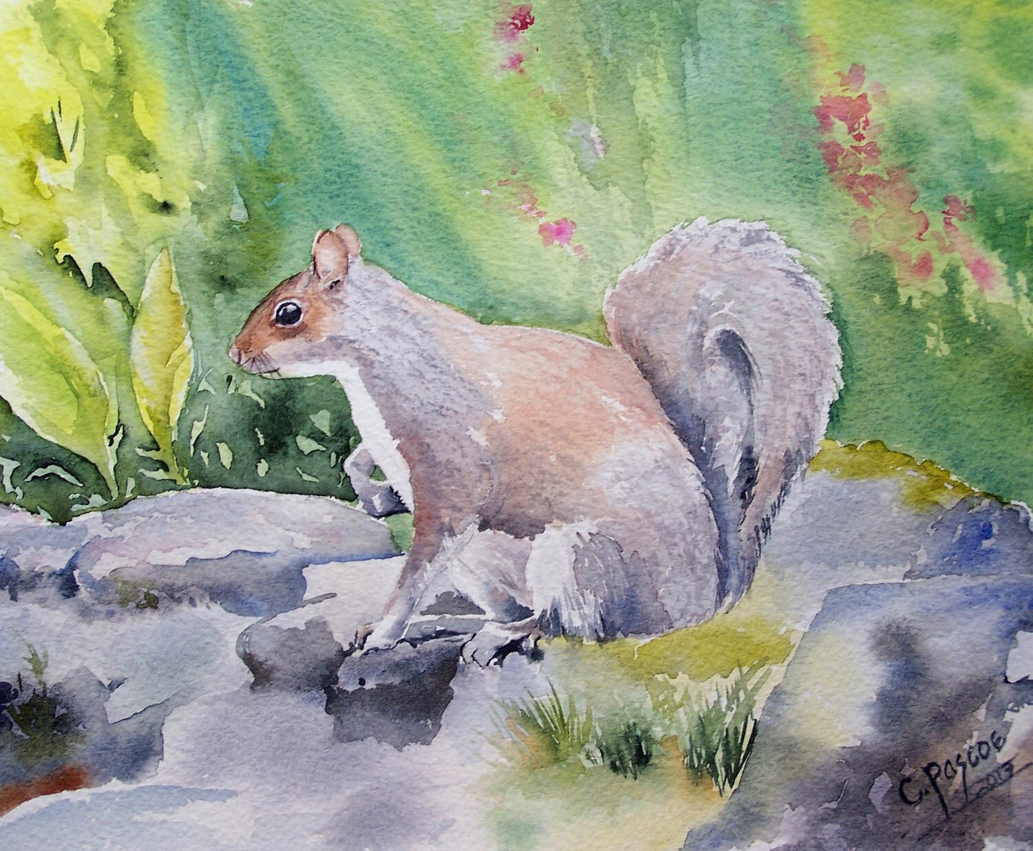 The Garden Squirrel - Original Watercolour