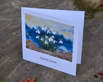 May include: A white card with a watercolor painting of a cluster of white snowdrop flowers with green leaves against a blue and white watercolor background. The text "Nadolig Llawen" is printed in black at the bottom of the card.
