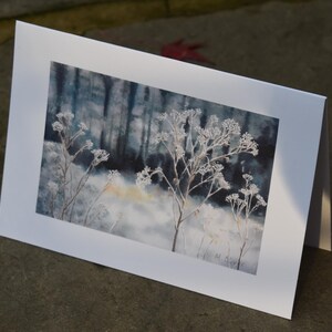 Frosty Morning, impression d'art, lot de 5 cartes de Noël