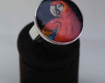 Hand painted parrot ring