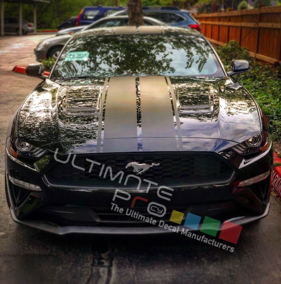 2015-2017 Mustang Decklid Panel GT Overlay Decal Sticker Custom