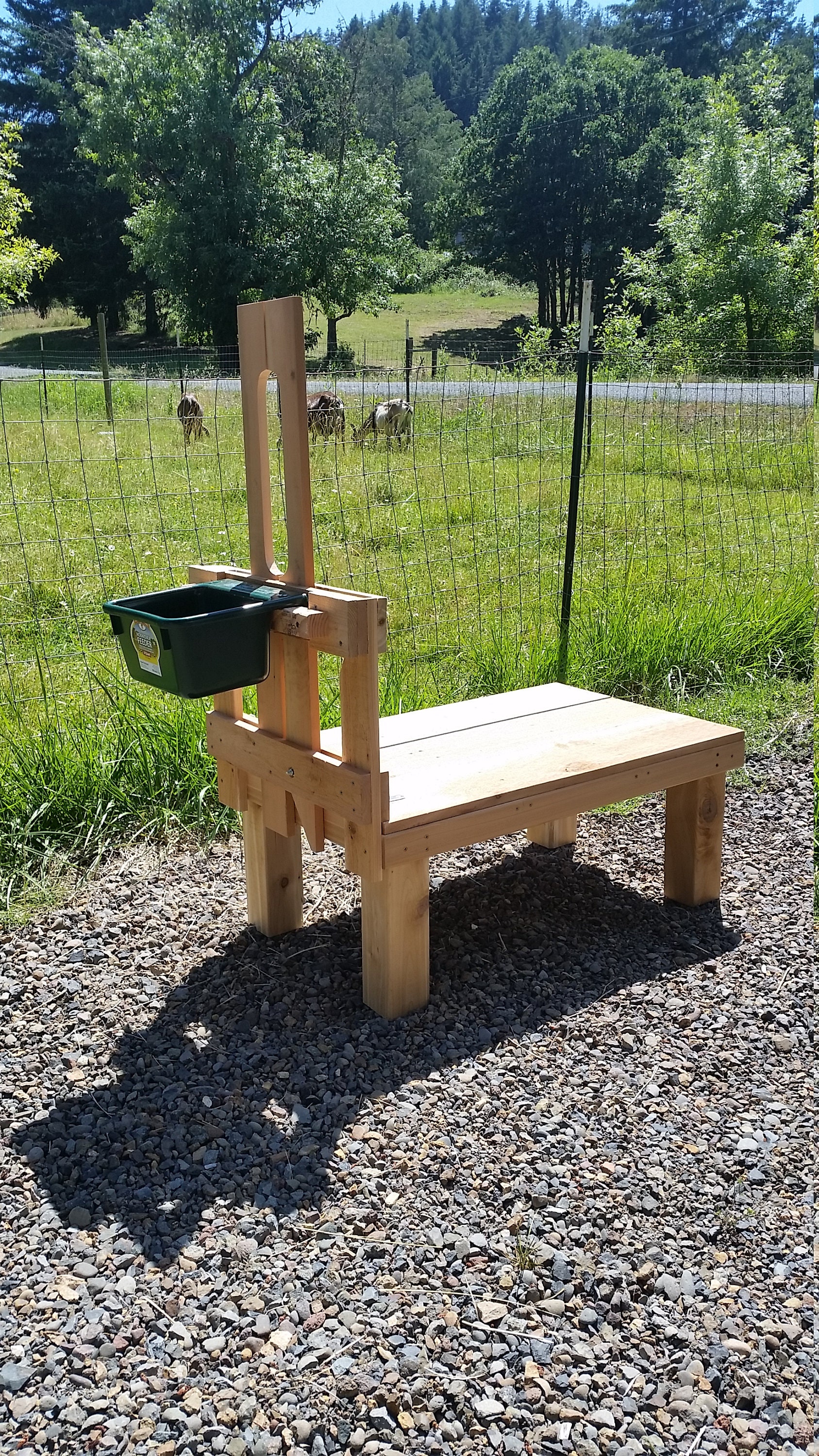 Goat Stand for sale Only 3 left at 75