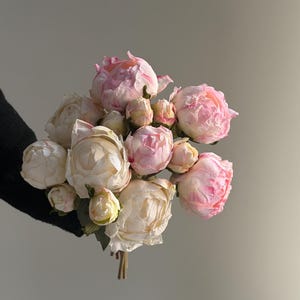 May include: A bouquet of peonies in various stages of bloom, featuring soft pink and cream-colored petals. The flowers are clustered together, with some buds still closed. The stems are tied together, creating a visually appealing arrangement.