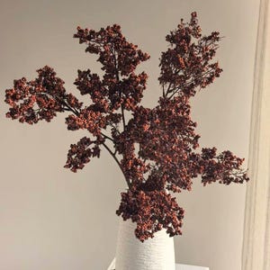 May include: A white textured vase displays a decorative arrangement of brown berries on branches. The vase has a rounded shape and a textured surface. The berries are small and clustered, creating a full, natural look.