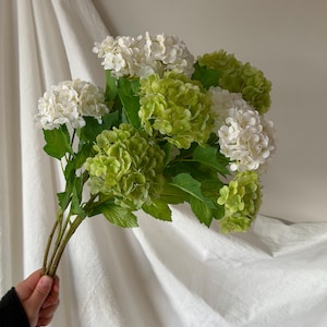 May include: A bouquet of artificial hydrangeas in shades of white and green. The faux flowers have large, round blooms and green leaves. The stems are brown and held in a hand against a white backdrop.