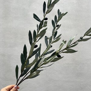 May include: A sprig of faux olive branches with dark green leaves and small black olives. The leaves have a mix of dark and light green shades. The branches are held by a hand against a light gray background.