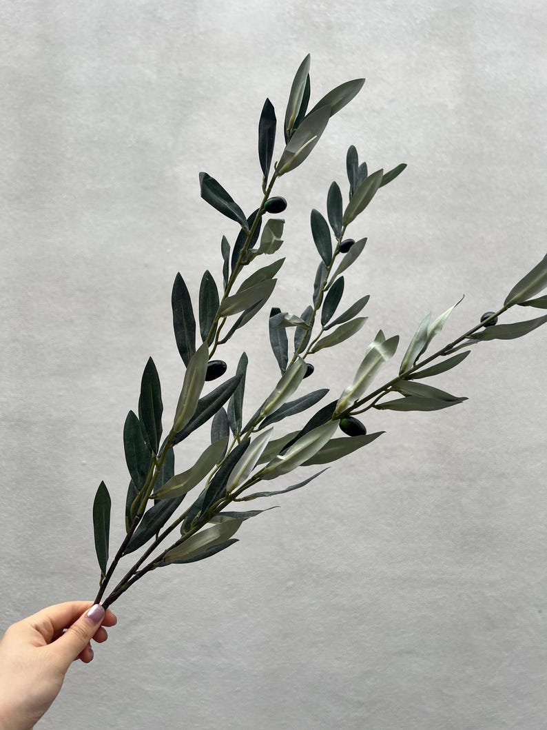 May include: A sprig of faux olive branches with dark green leaves and small black olives. The leaves have a mix of dark and light green shades. The branches are held by a hand against a light gray background.