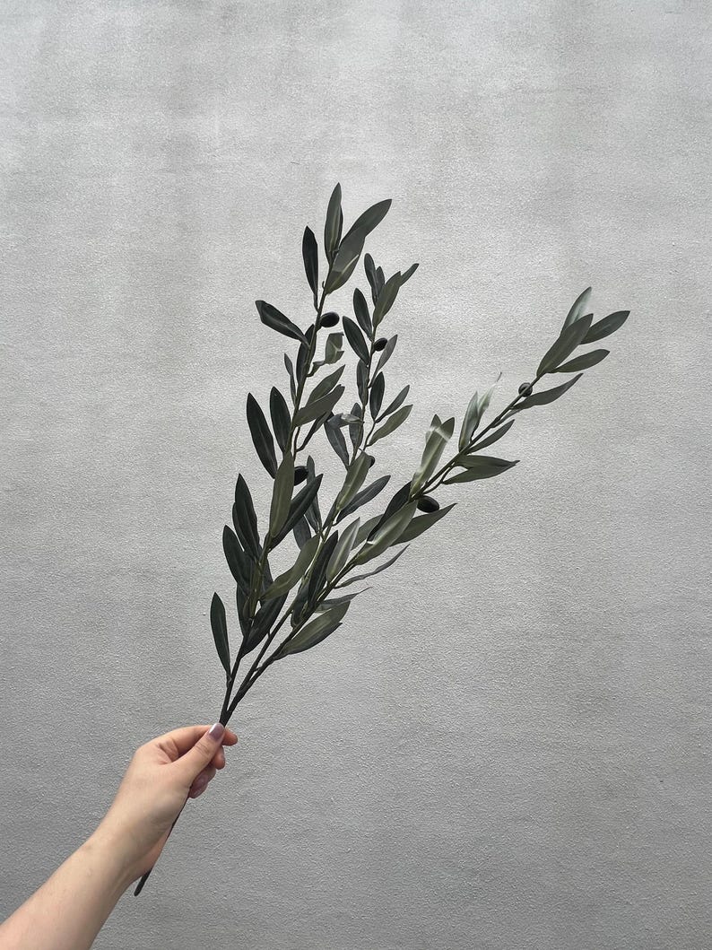 May include: A sprig of olive branches with dark green leaves and small black olives. The leaves are long and slender, and the olives are clustered along the stems. The sprig is held against a gray background.
