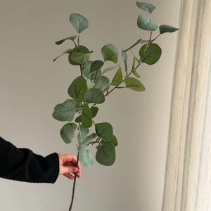 Puede incluir: Un tallo de eucalipto artificial con múltiples ramas y hojas redondeadas de color verde mate. El follaje presenta una textura suave y polvorienta con variaciones sutiles en el tamaño y color de las hojas, extendiéndose desde un tallo central marrón.