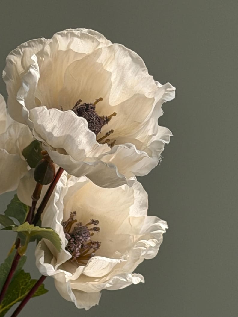 Small Ruffled Poppy Faux Matilija Poppy, Iceland Poppies, Silk Poppy Flower for DIY Floral ...